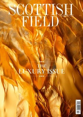 SCFm Oct 24 Front Cover